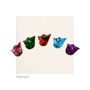 TULIP CUTT