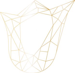 Tulip Cut 02 Tulip Cut 02